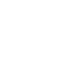 Olam